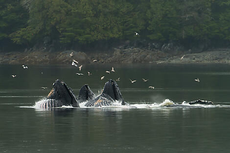 Inside passage