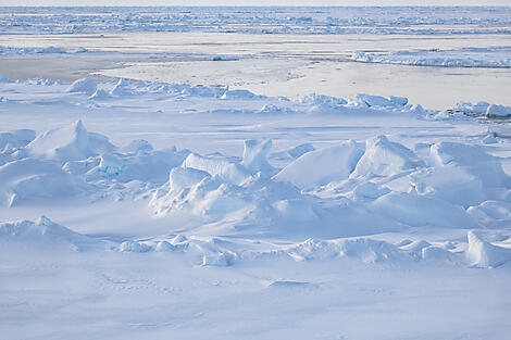 Transarktisches Abenteuer, die Überquerung des Nordpols-59_Paysage-du-bateau_banquise_CDT-Charcot©StudioPONANT-Olivier Blaud.jpg