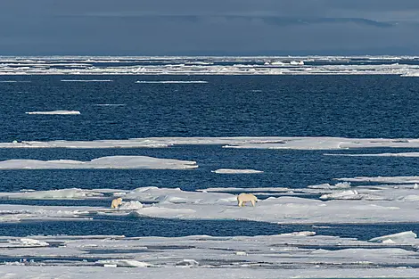 Sailing in the Lancaster Sound