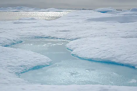 Exploring sea ice in Beaufort Sea