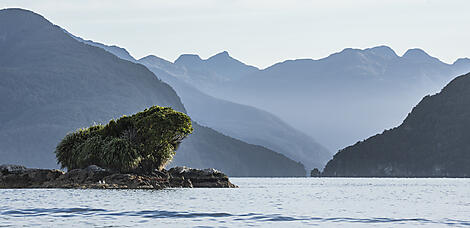Trésors naturels de Nouvelle-Zélande-7_A050118_Dusky-Sound©StudioPONANT-O.Blaud.jpg