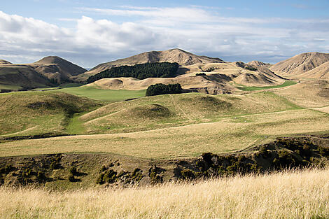 Naturschätze Neuseelands-N-475_R200319_Napier_New-Zealand©Studio PONANT-Charlotte Ortholary.jpg
