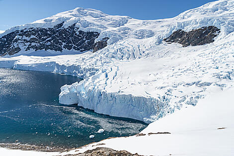 Antarktis `Klassisch´ -9-B041219_Neko-Harbour©StudioPONANT-Laurence-FISCHER.jpg