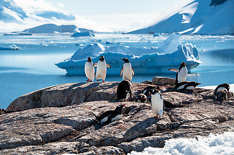 Antarktis `Klassisch´ -No-2384_S091219_ushuaia-ushuaia©StudioPonant-OlivierBlaud.jpg