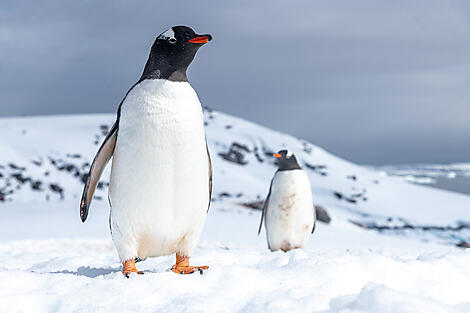 Antarktis `Klassisch´-No-2142_A040122_Ushuaia-Ushuaia©StudioPONANT-Laurence-Fischer.jpg