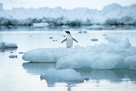 Antarktis `Klassisch´-No-2076_S091219-ushuaia-ushuaia©StudioPonant-OlivierBlaud.jpg