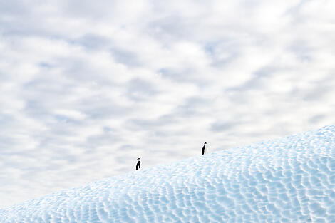 Antarktis & Südgeorgien-No-2189_A030322_Ushuaia-Montevideo©StudioPONANT-Laurence-Fischer.jpg