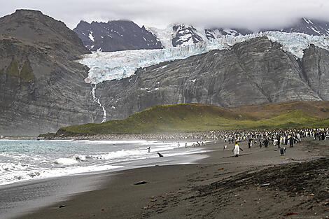 Antarktis & Südgeorgien-No-2344_A030322_Ushuaia-Montevideo©StudioPONANT-Laurence-Fischer.jpg
