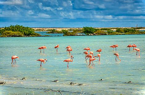 Bonaire