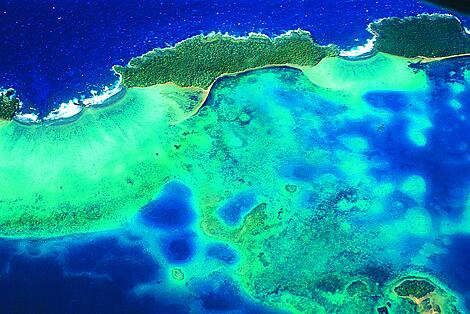 Fidji, Tonga, îles Cook et îles de la Société-CG.RM_Tonga_B2XWGK.jpg