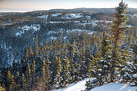 The St. Lawrence River in the Heart of the Boreal Winter-0H3A1250_reperage_Charcot_Canada©PONANT-Julien Fabro.jpg