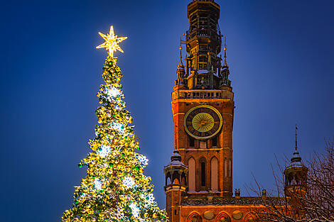Scandinavian Wonderland & Christmas Markets-iStock-1364930052.jpg
