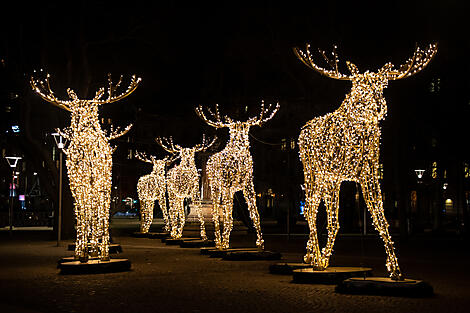 Scandinavian Wonderland & Christmas Markets-iStock-1448557553.jpg