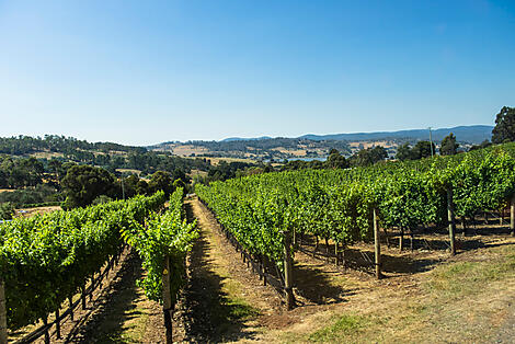 Wein, Gourmet & Yachtrennen in Tasmanien-tamar-valley-tasmania-N-6075_A250118-Sydney-SydneyStudioPONANT-OlivierBlaud.jpg