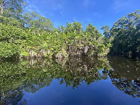 Bélize et Honduras : rencontres et nature insoupçonnées-Cuero y salado_mangrove tour el espejo_IMG_1711_@JoseSarica.JPG