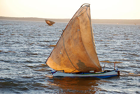 Aventure à Madagascar-AdobeStock_161969055.jpeg