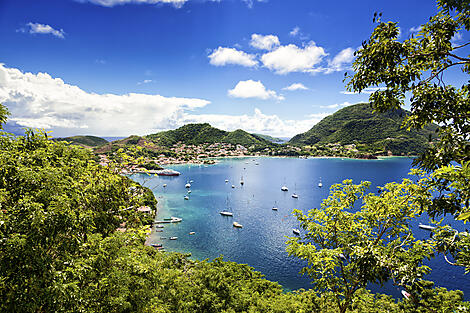The Essential of the Caribbean-iStock_000029943368Large.jpg