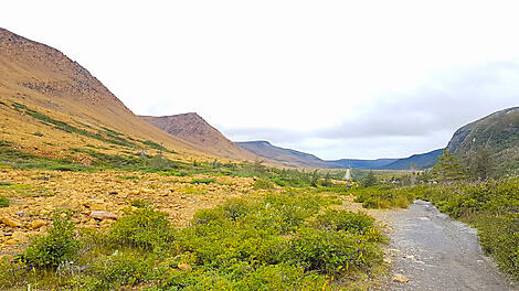 Woody Point, parc national du Gros-Morne