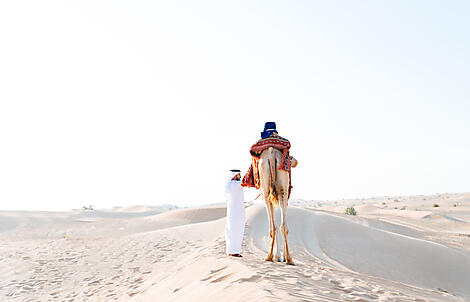 Musical Odyssey in the Middle East-AdobeStock_287179347.jpeg