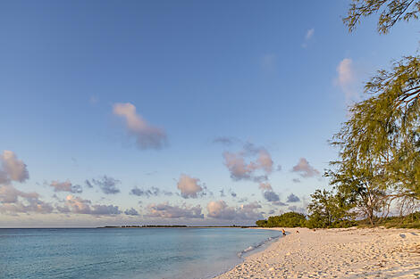 Zanzibar, Aldabra & the treasures of the Indian Ocean-6-Y010419_Assomption-Island_Seychelles©StudioPonant-Laurence Fischer.jpg