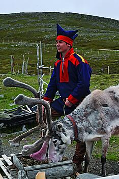 nathalie michel sami with reindeer .JPEG