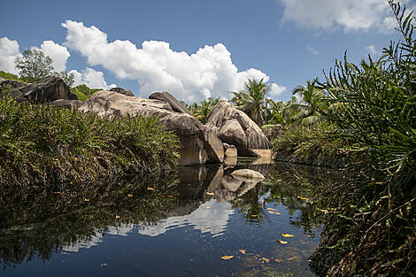 Unbekannte Inseln, von den Seychellen nach Madagaskar-No-2437_ X29122022_Seychelles_La-Digue©StudioPonant-Glenn Le Bras.jpg