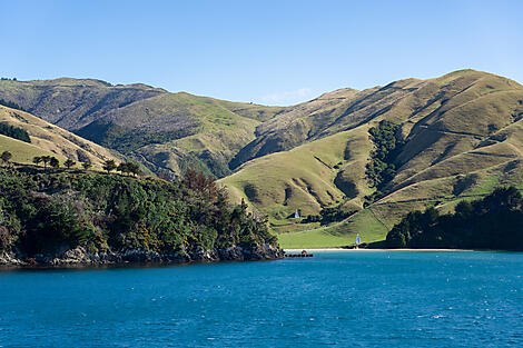 Sailing in the Marlborough Sounds