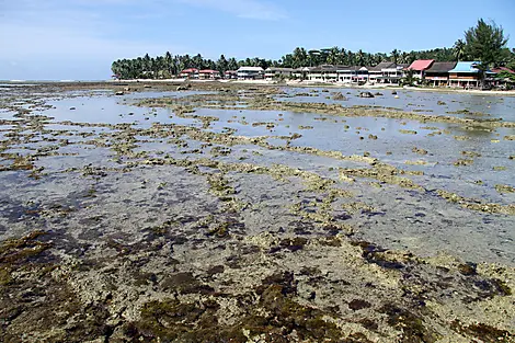 Pulau Nias, Grandes îles de la Sonde