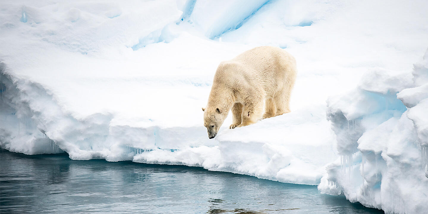 Cruise In the Ice of the Arctic, from Greenland to Svalbard from