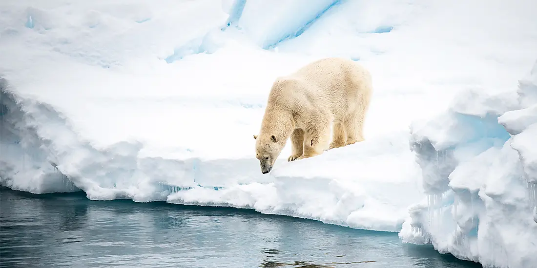 Im arktischen Eis von Spitzbergen nach Grönland