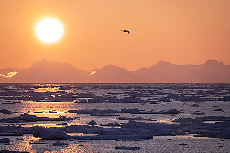 Frühling mit den Inuit von Ammassalik-N°0043_O100522_Reykjavik-Reykjavik©StudioPONANT-Morgane Monneret.jpg