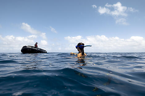 Unterwegs unter Segeln im Herzen der Kleinen Antillen-2N4A9601_PO150123_le_ponant_snorkeling©_PONANT-Julien Fabro.JPEG