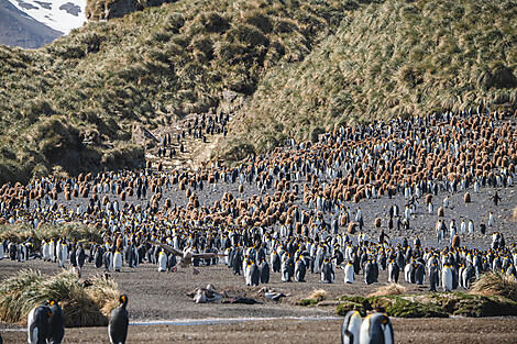 Antarktis, Falklandinseln & Südgeorgien -N-200307_A151119_Ushuaia-Ushuaia©StudioPonant-Clement Louineau.jpg