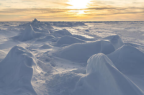 Transarktisches Abenteuer, die Überquerung des Nordpols-46_Texture-banquise_CDT-Charcot©StudioPONANT-Olivier Blaud.jpg
