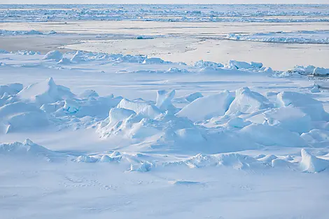 Transarctique, la quête des deux pôles Nord-59_Paysage-du-bateau_banquise_CDT-Charcot©StudioPONANT-Olivier Blaud.jpg