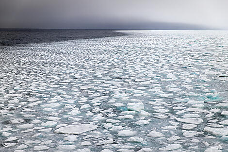 Derniers instants d’hiver, du Saint-Laurent au Groenland-OA230622_102_SeaIce©StudioPONANT_Morgane Monneret.jpg