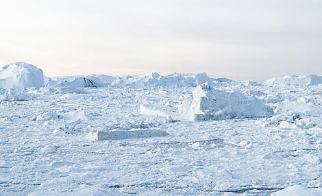 Disko Bay: Meeting the Inuit & Discovering the Unknown-iStock-1271199260.jpg