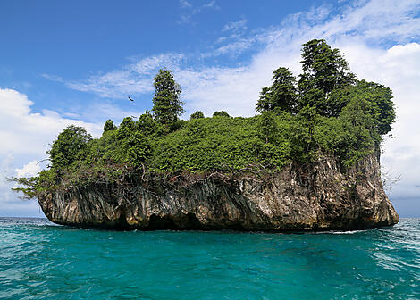 Odyssée tropicale indonésienne-N°-1202_R200223_Cairns-Bali©StudioPONANT-Laure Patricot.JPEG