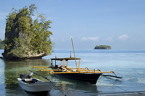 Tropen-Abenteuer in Indonesien-iStock_000009197132Large.JPEG