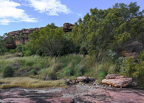 Unentdeckte Schätze Australiens-N°-1307_R240423_Broome-Darwin©StudioPONANT-Laure Patricot.JPEG