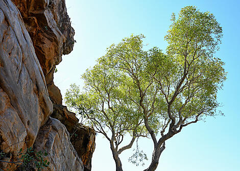 Unentdeckte Schätze Australiens-N°-1286_R240423_Broome-Darwin©StudioPONANT-Laure Patricot.JPEG