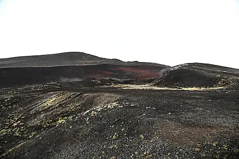 L’Islande avec Beethoven-No-3016_C060619_Akureyri©StudioPonant_Margot-Sib.jpg