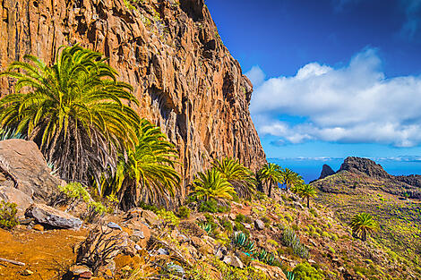The Canaries, lands of contrast-iStock-683966212.jpg