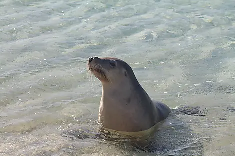 Jurien Bay Marine Park