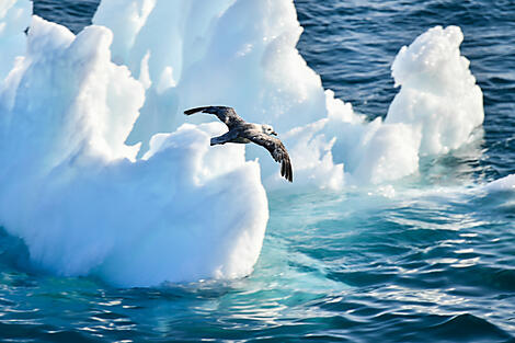 Diskobucht und Inuit-Dörfer-N°0161_B150819_Kangerlussuaq-Kangerlussuaq©StudioPonant_Morgane Monneret.jpg