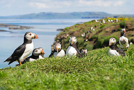 Lunga, Treshnish Isles