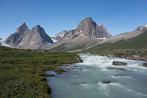 Skjoldungen