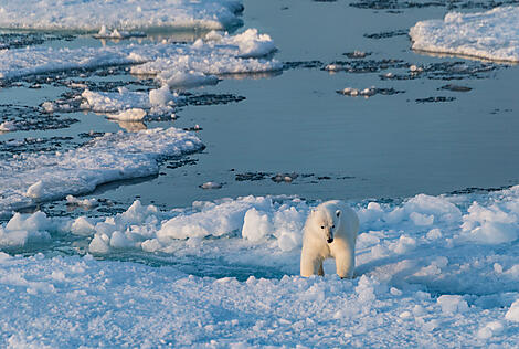 Entlang der Nordwestpassage auf den Spuren von Roald Amundsen-Best of-10342_A240819_Kangerlussuaq-Nome©Studio PONANT-Laurence Fischer.jpg