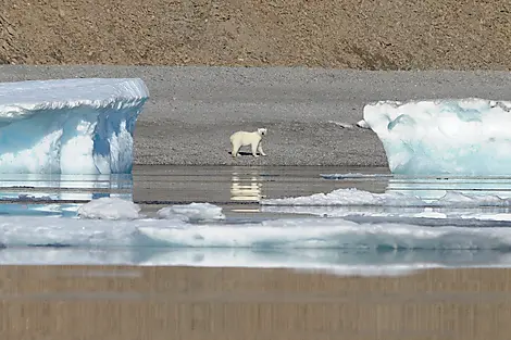 The Northwest Passage, in the wake of Roald Amundsen-No-1724_A260814_Navigation_approche_Fury-Beach©StudioPONANT-N.Michel.JPG