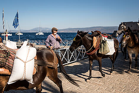 At the heart of the Greek islands -No-2256_Y150722-HYDRA©StudioPONANT-Adrien MORLENT.jpg